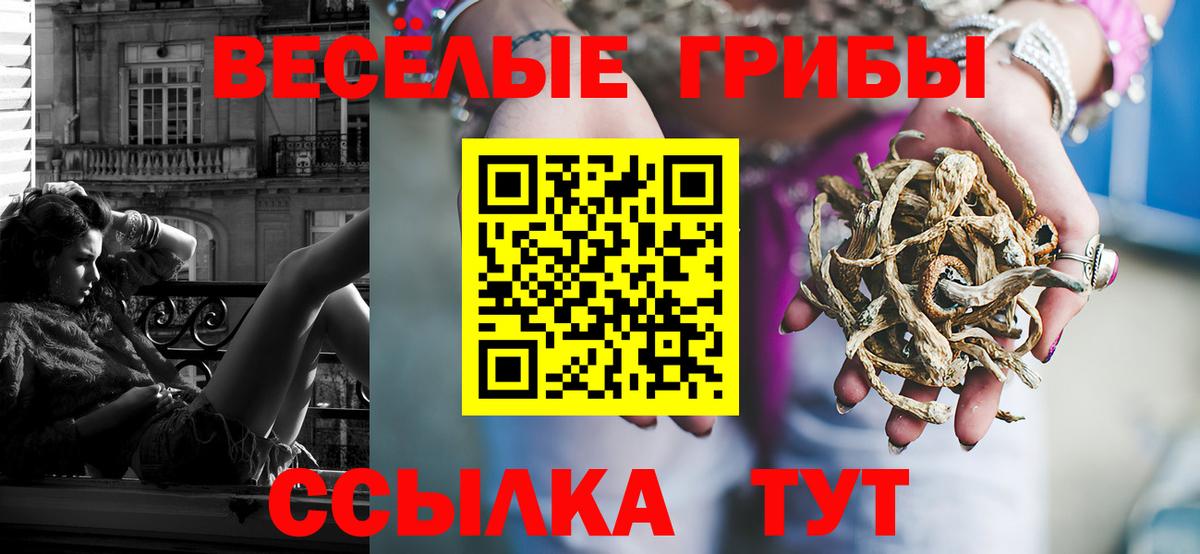 Галлюциногенные грибы ЛСД  Вход с VPN  Тайшет 